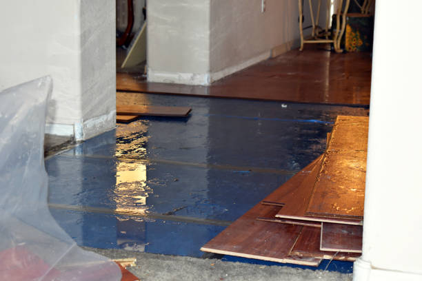 Professional Water Damage Restoration technician working in Salem, OH
